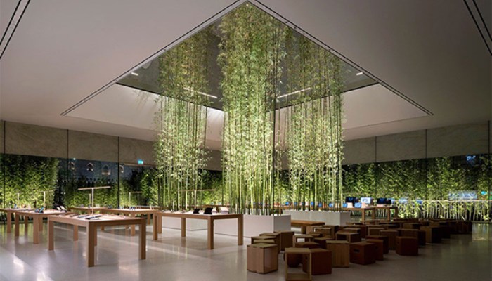 طراحی آتریوم