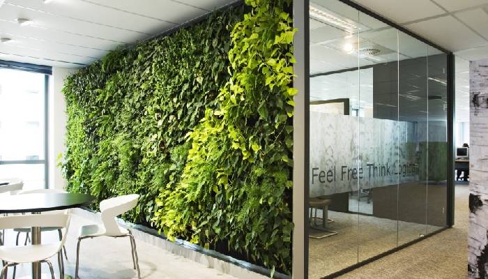 پارتیشن چند منظوره برای کتاب و گیاه